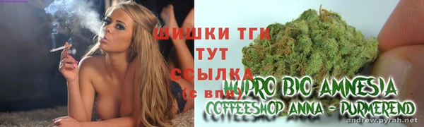 apvp Балахна