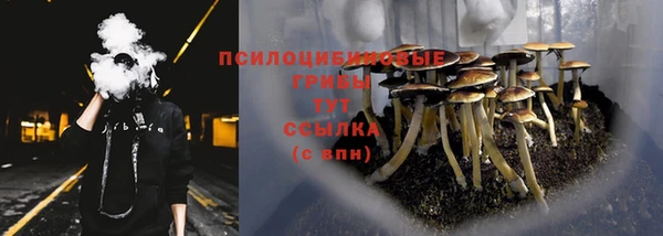 соль курить ск Армянск