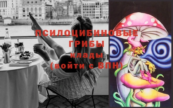 PSILOCYBIN Аркадак