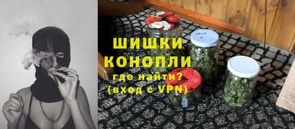PSILOCYBIN Аркадак